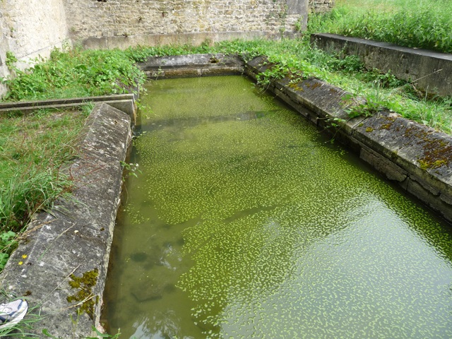 Fontaine Marie Madeleine de Vézelay 