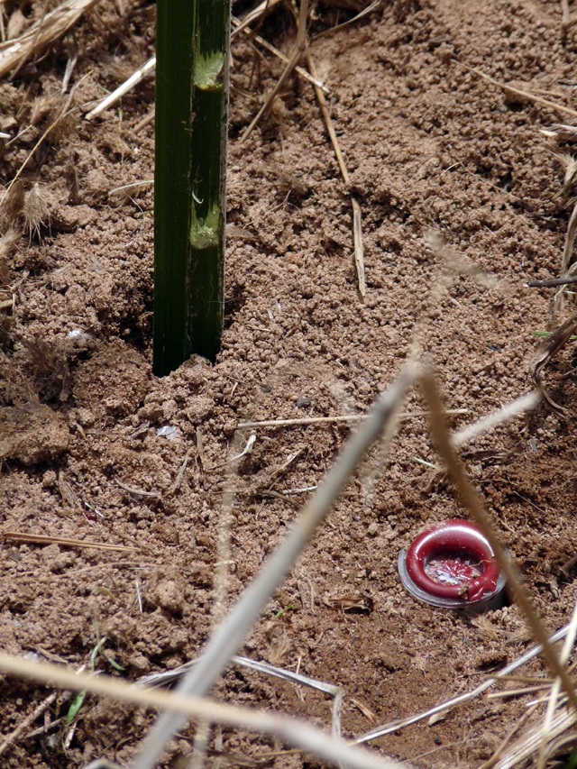 Fusette Néovie au Togo